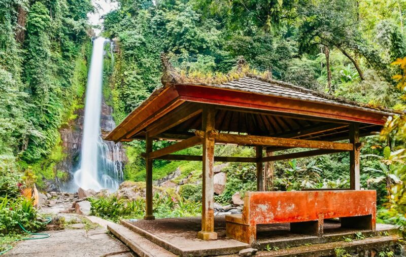 North Bali: Sunrise Tour With Dolphins, Waterfalls & Temples - Itinerary Highlights