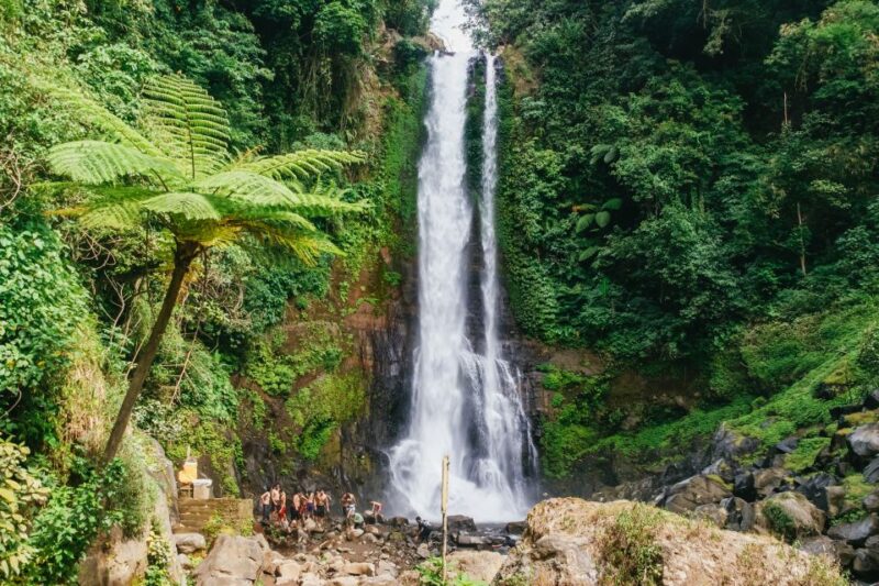 North Bali: Sunrise Tour With Dolphins, Waterfalls & Temples - Important Information
