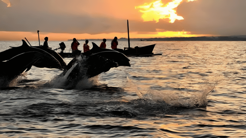 North Bali : Sunrise With Dholpin, Waterfall and Iconic Gate - Key Points