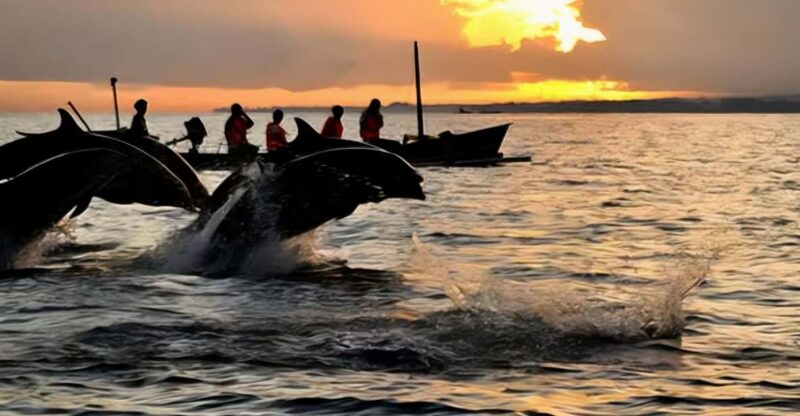 North Bali : Sunrise With Dholpin, Waterfall and Iconic Gate - Dolphin Watching