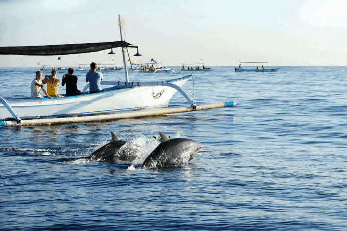North Bali : Sunrise With Dholpin, Waterfall and Iconic Gate - Frequently Asked Questions