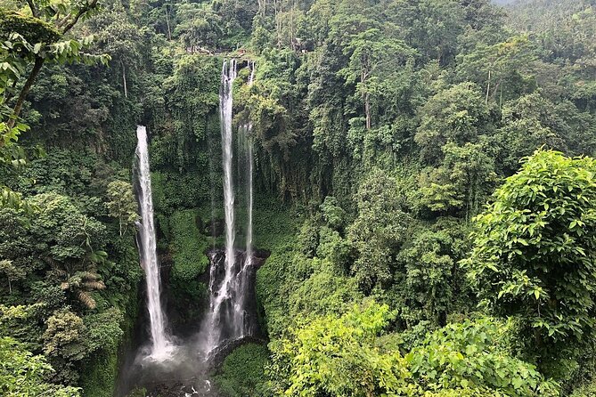 North Bali Tour: Banyumala Waterfall & Wanagiri Hidden Hills - Banyumala Twin Waterfalls