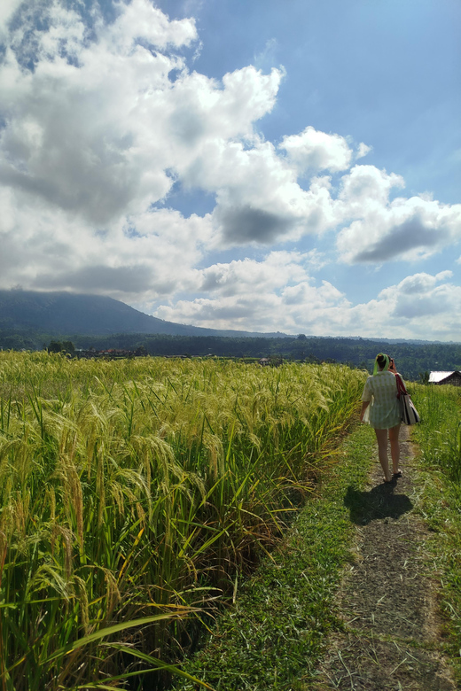 North Bali: Ulun Danu Temple,Leke Leke, Jatiluwih, Tanah Lot - Customer Feedback
