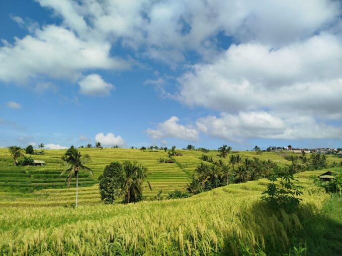 North Bali: Ulun Danu Temple,Leke Leke, Jatiluwih, Tanah Lot - Frequently Asked Questions