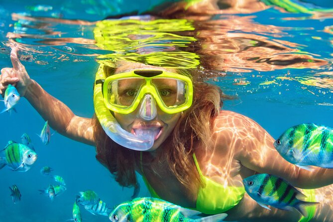 North Bay Snorkel - Cancellation Policy and Weather Considerations