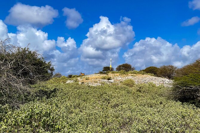 North Bonaire Private Island Tour - Recommended Attire