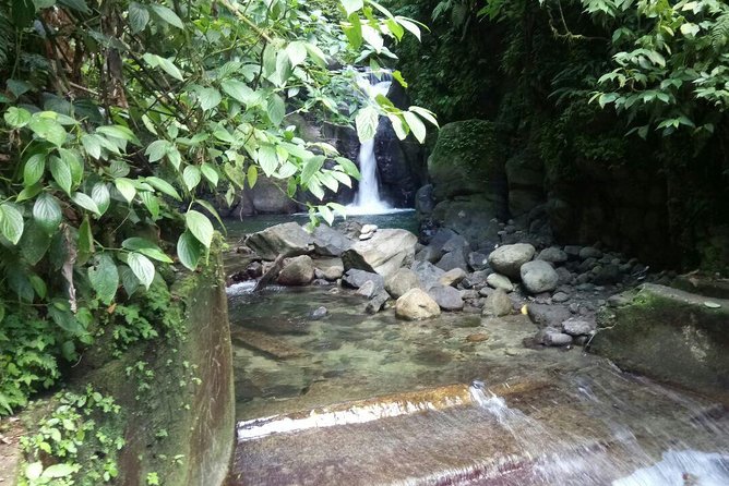 North Caribbean Tour in Martinique - Inclusions and Booking Details