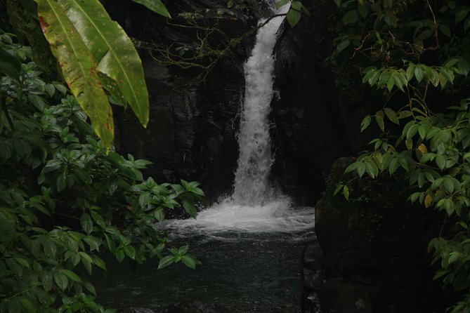 North Caribbean Tour in Martinique - Meeting Point and Pickup Options