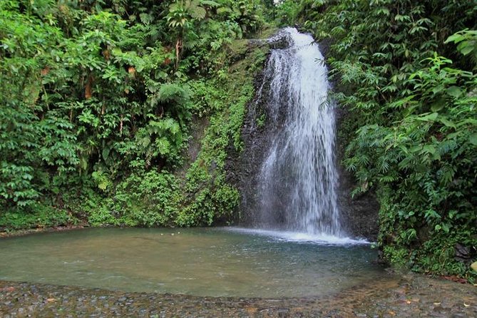 North Caribbean Tour in Martinique - Tour Pricing and Guarantee