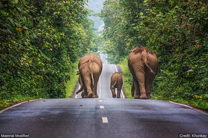 North & Central Thailand: See It ALL in 12 Days, 1st Class Tours - Immerse in Phetchaburi
