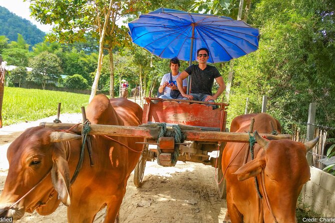 North & Central Thailand: See It ALL in 12 Days, 1st Class Tours - Highlights of the Tour