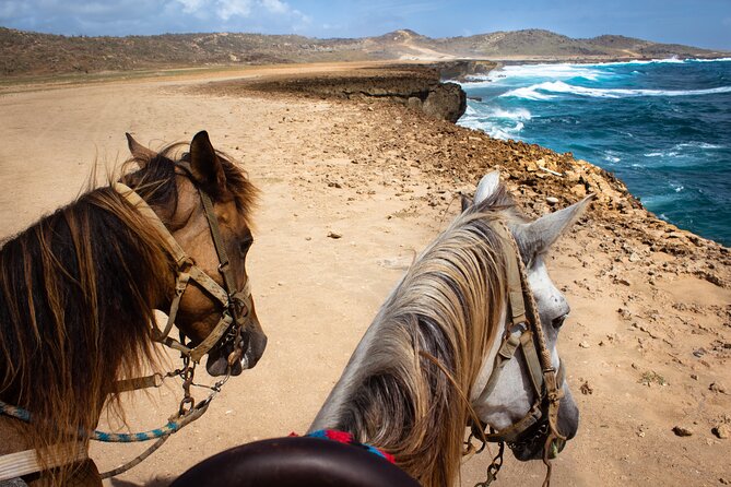 North Coast and Countryside Horseback Riding Tour in Aruba - Exploring Hidden Trails