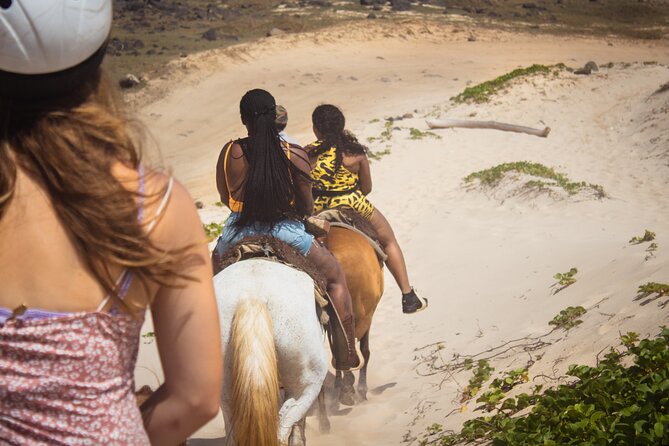 North Coast and Countryside Horseback Riding Tour in Aruba - Continuous Riding Experience
