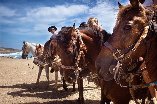 North Coast and Countryside Horseback Riding Tour in Aruba - Recommended Attire