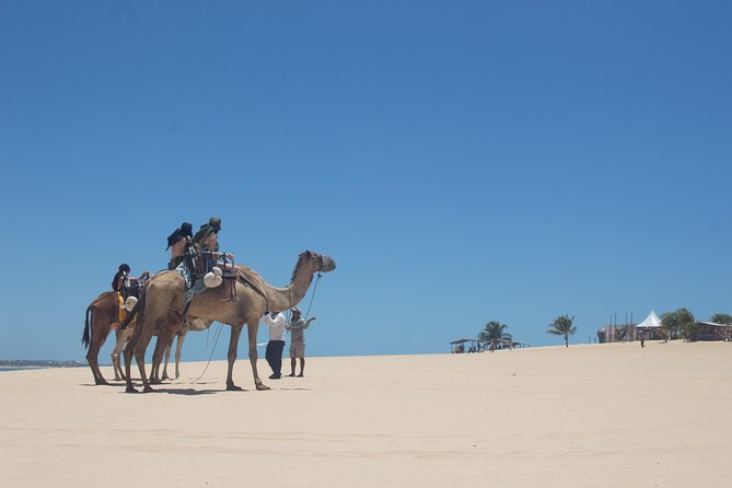  North Coast Buggy With Fees - Genipabu- Natal Outing - Pickup Information