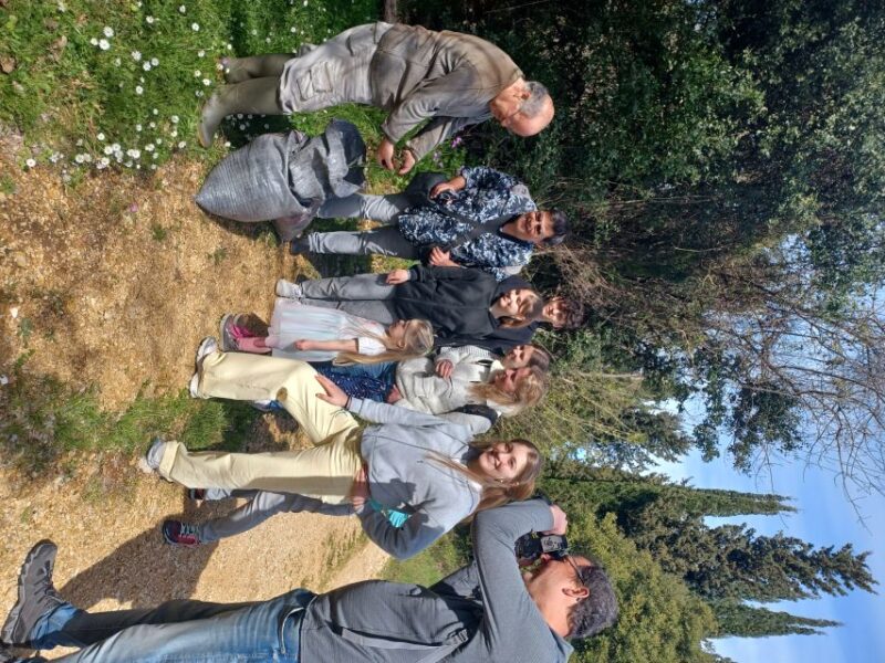 North Corfu Olive Tour With Olive Oil Tasting and Meze - Detailed Itinerary