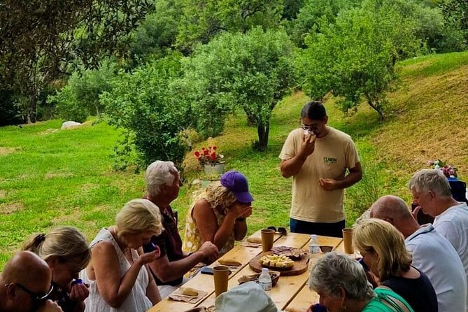 North Corfu Olive Tour With Olive Oil Tasting & Meze - Exploring the Olive Grove