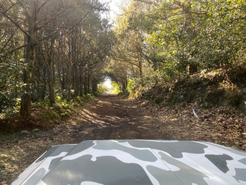 North-East Madeira Jeep Safari Tour for the Nature Lovers - Itinerary Highlights