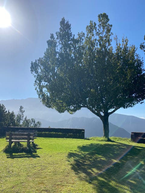 North-East Madeira Jeep Safari Tour for the Nature Lovers - Customer Reviews