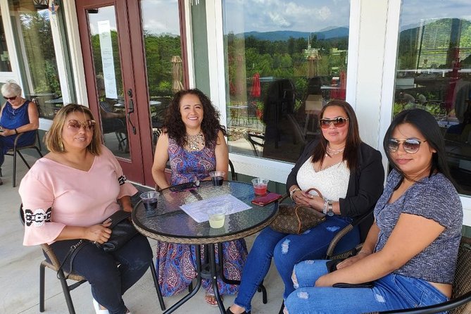 North Georgia Mountains Two Vineyard Wine Tasting Tour - Expectations and Additional Information