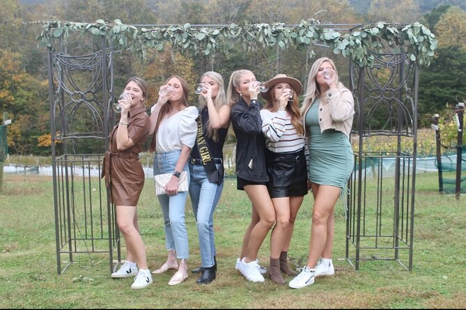 North Georgia Mountains Two Vineyard Wine Tasting Tour - Pricing and Special Offers