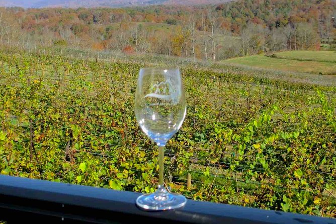 North Georgia Wine Country Tour From Atlanta - CeNita Vineyards and Winery