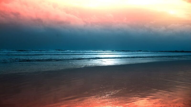 North Goa: Private Day Tour - Transportation and Accessibility