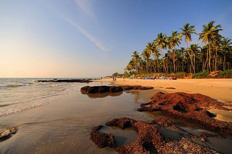 North Goa: Private Day Tour - Discounts and Offers