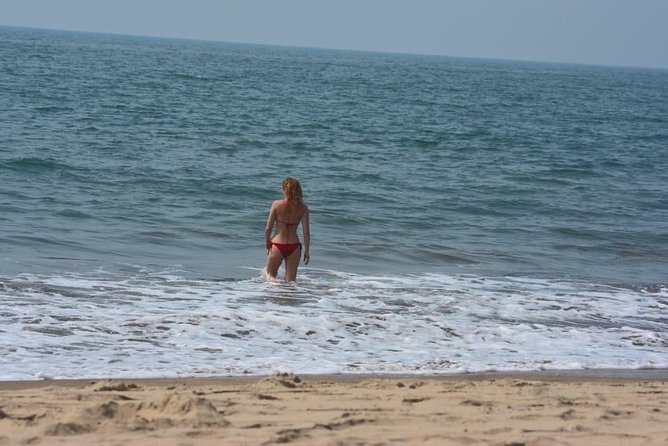 North Goa Sightseeing: Beaches, Forts & Fun - Reviews and Feedback