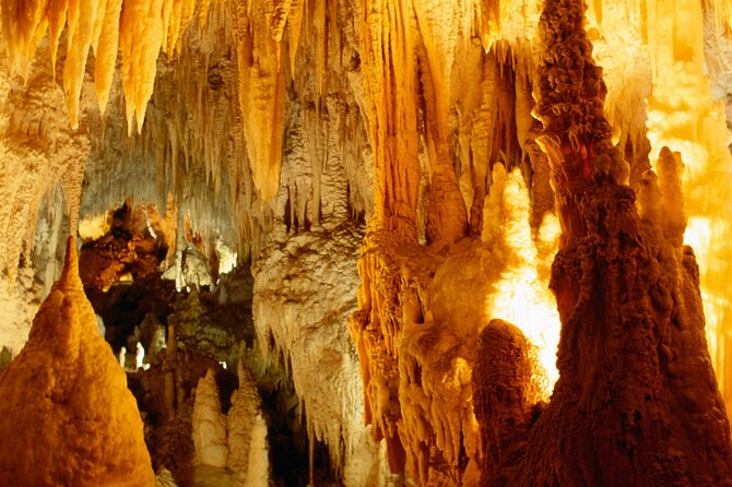 North Island Four-Day Highlights Tour From Auckland - Highlights of the Tour