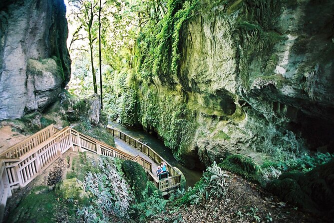 North Island Four-Day Highlights Tour From Auckland - Itinerary and Experiences