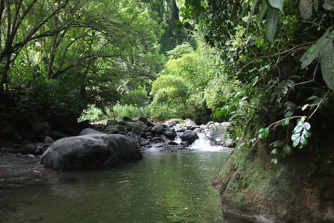 North Island Tour And Martinique Best Secret - Tour Details and Logistics