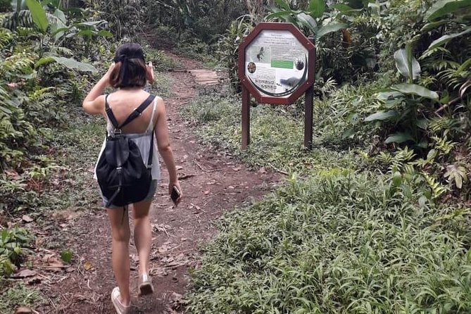 North Island Tour And Martinique Best Secret - Recommendations and Tips