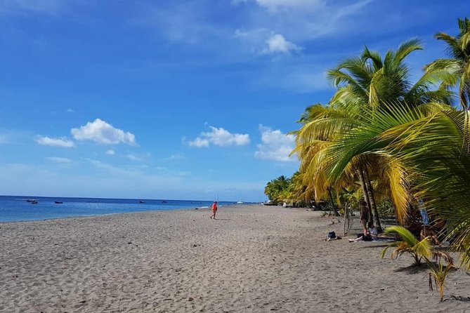 North Island Tour And Martinique Best Secret - Discovering Local Monuments and Culture