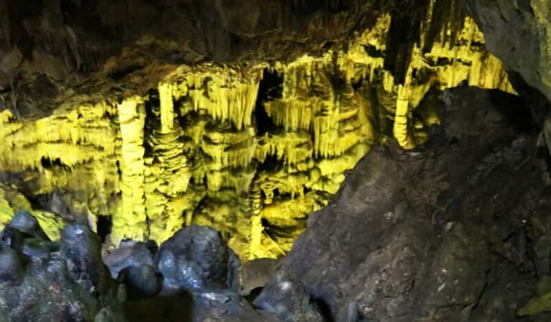 North Kyushu Tour: Akiyoshido Cave & Motonosumi Inari Shrine - Key Points