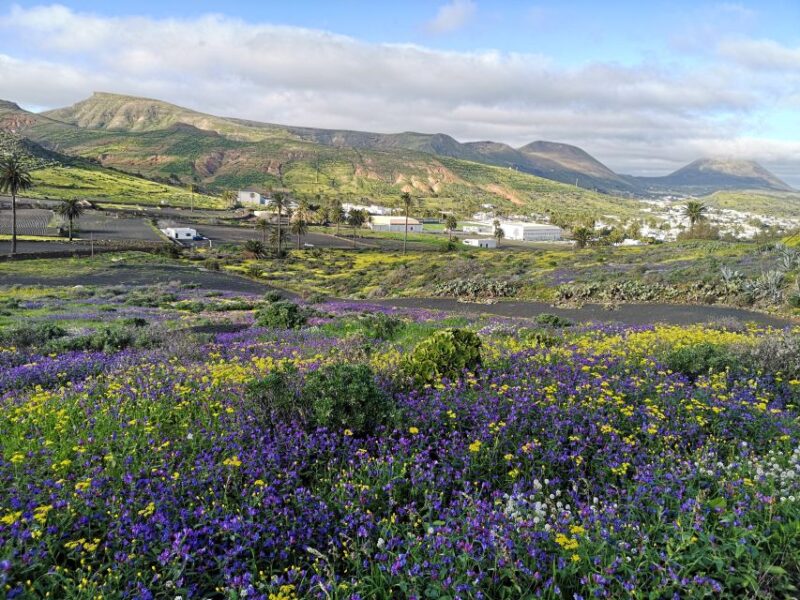 North Lanzarote: Cave, Jameos Del Agua, and Viewpoint - Frequently Asked Questions