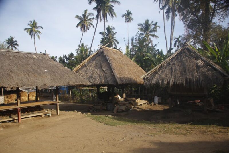 North Lombok: Sendang Gile Waterfall & Senaru Village Tour - Customer Reviews and Ratings
