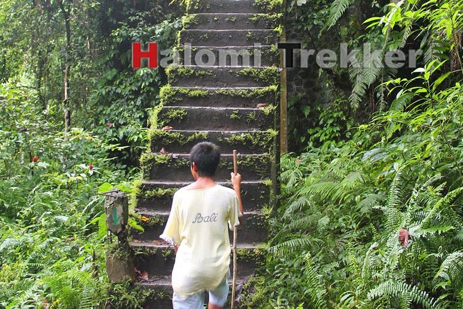 North Lombok Waterfalls - Meeting and Pickup