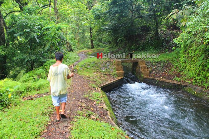 North Lombok Waterfalls - Hike Highlights