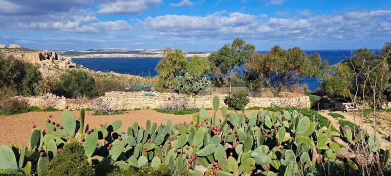 North Malta: Quad Bike Tour With Scenic Land, Sea & Swimming - Swimming and Relaxation