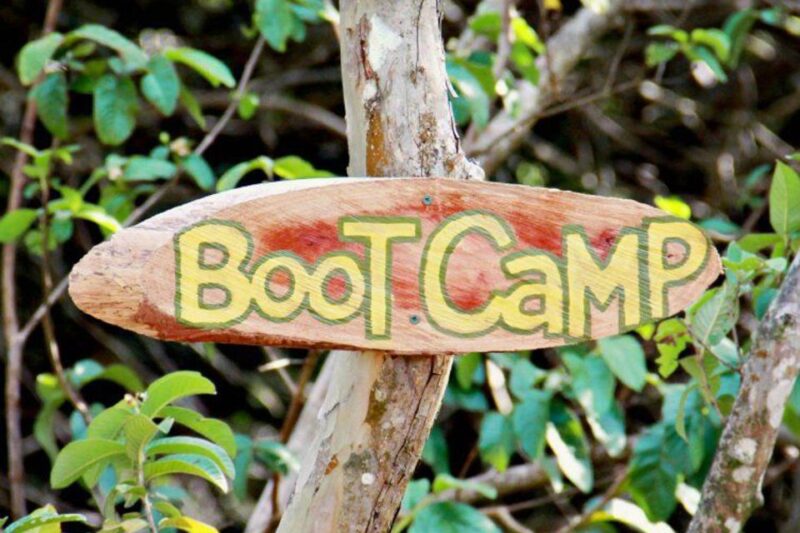 North Maui: 7 Line Zipline Adventure With Ocean Views - Customer Reviews and Feedback