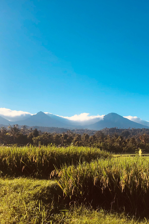 North of Bali Sightseeing Tour - Key Points