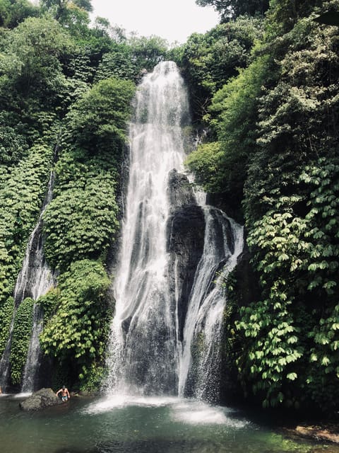 North of Bali Sightseeing Tour - Tour Experience