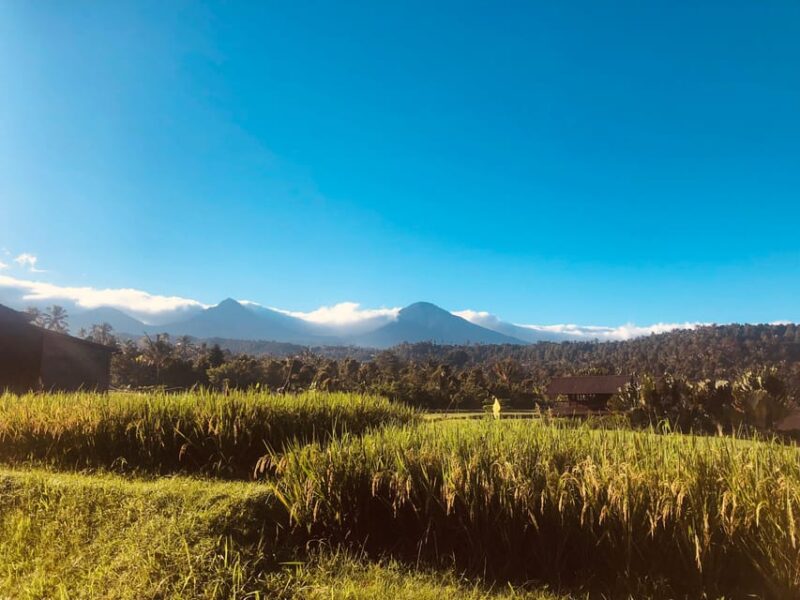 North of Bali Sightseeing Tour - Inclusions and Exclusions