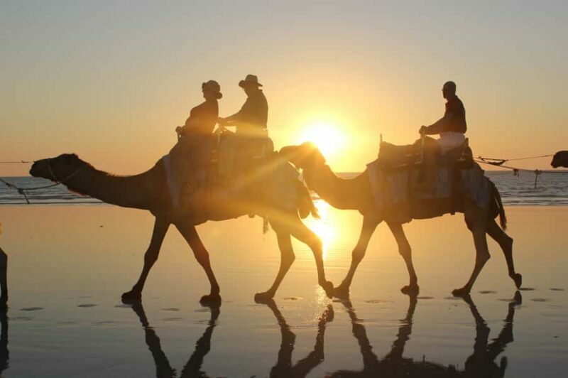 North of Rocks on Cable Beach: 1-Hour Sunset Camel Ride - An In-Depth Look at the Experience
