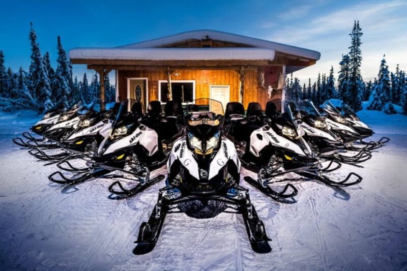 North Pole Alaska: Guided Fairbanks Snowmobile Tour - Meeting Point and Accessibility
