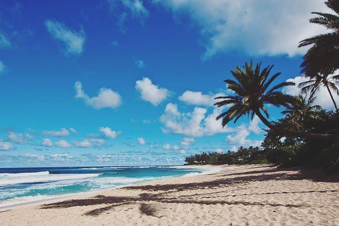 North Shore Circle Island Adventure Including Snorkeling With the Turtles - Tour Overview