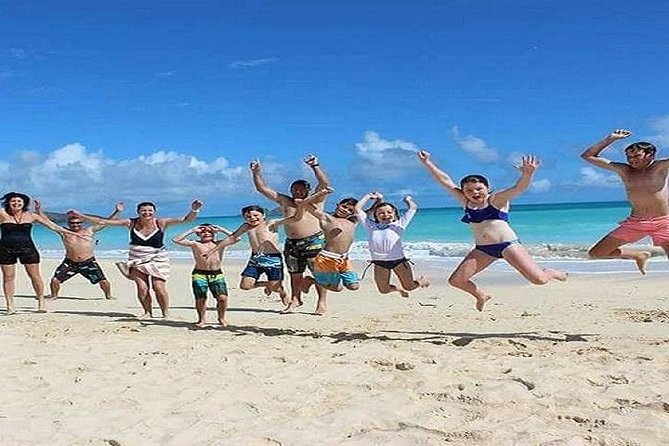 North Shore Circle Island Adventure Including Snorkeling With the Turtles - Positive Guest Reviews