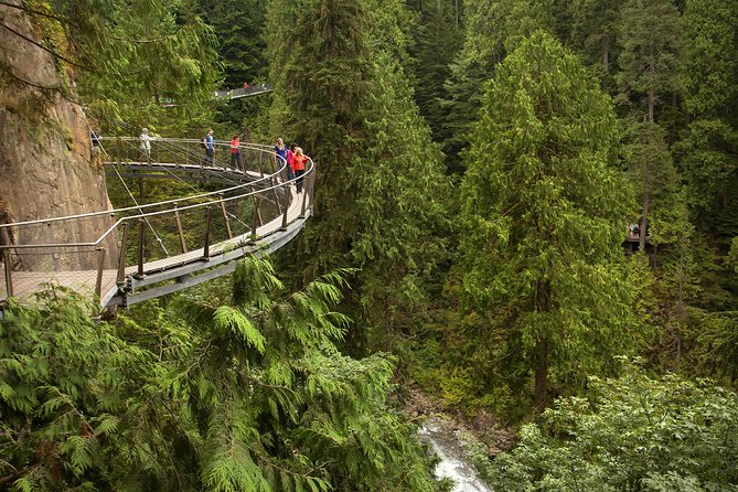 North Shore Day Trip From Vancouver: Capilano Suspension Bridge & Grouse Mtn - Traveler Requirements