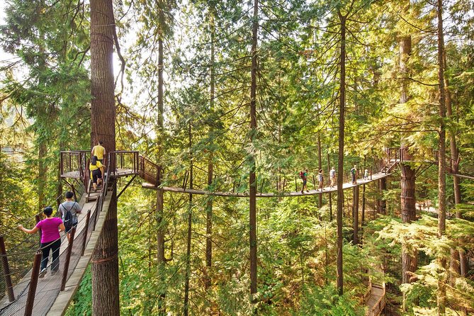 North Shore Day Trip From Vancouver: Capilano Suspension Bridge & Grouse Mtn - Tour Group Size